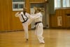 Classic Tae Kwon Do