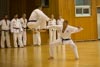 Classic Tae Kwon Do