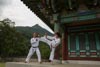 Classic Tae Kwon Do