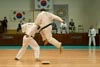 Classic Tae Kwon Do