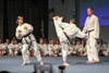 Classic Tae Kwon Do