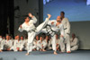 Classic Tae Kwon Do