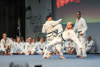 Classic Tae Kwon Do