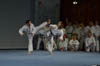 Classic Tae Kwon Do