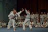 Classic Tae Kwon Do