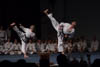 Classic Tae Kwon Do