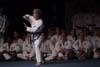 Classic Tae Kwon Do