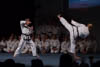 Classic Tae Kwon Do