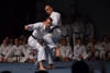 Classic Tae Kwon Do