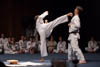 Classic Tae Kwon Do