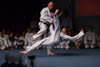 Classic Tae Kwon Do