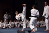 Classic Tae Kwon Do