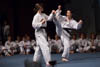 Classic Tae Kwon Do