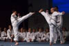 Classic Tae Kwon Do