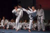 Classic Tae Kwon Do