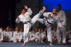 Classic Tae Kwon Do