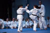 Classic Tae Kwon Do