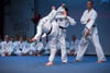 Classic Tae Kwon Do