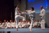 Classic Tae Kwon Do