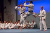 Classic Tae Kwon Do