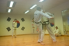 Classic Tae Kwon Do