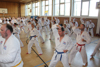 Classic Tae Kwon Do