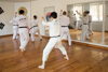Classic Tae Kwon Do