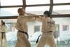 Classic Tae Kwon Do