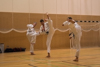 Classic Tae Kwon Do