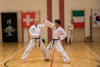 Classic Tae Kwon Do