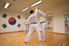 Classic Tae Kwon Do