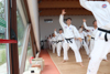 Classic Tae Kwon Do