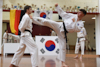 Classic Tae Kwon Do
