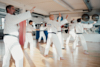 Classic Tae Kwon Do