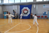 Classic Tae Kwon Do