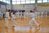 Classic Tae Kwon Do