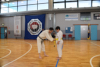 Classic Tae Kwon Do