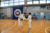 Classic Tae Kwon Do