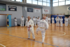 Classic Tae Kwon Do