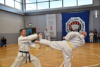 Classic Tae Kwon Do