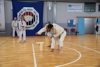 Classic Tae Kwon Do
