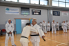 Classic Tae Kwon Do