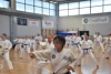 Classic Tae Kwon Do