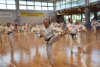 Classic Tae Kwon Do