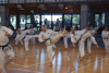 Classic Tae Kwon Do