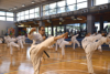 Classic Tae Kwon Do
