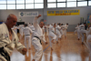 Classic Tae Kwon Do