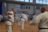 Classic Tae Kwon Do