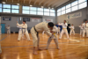 Classic Tae Kwon Do
