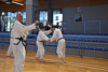 Classic Tae Kwon Do